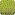 55C FLUO
